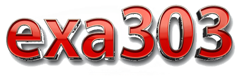 exa303 logo